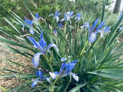 -永定河休闲森林公园