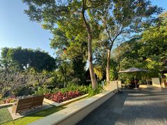 -四季酒店下午茶