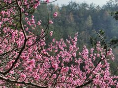 -天台山赤城山景区