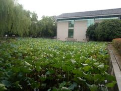 -绍兴鉴湖君澜大酒店