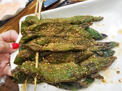 豆角-金刚山烧烤(红旗大街店)