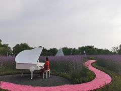 -梁鸿国家湿地公园