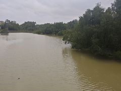 -崖口红树林海鲜餐厅