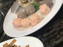 -蚝专家