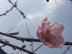 -江南大学(蠡湖校区)
