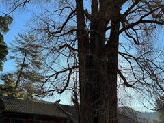 -潭柘寺景区