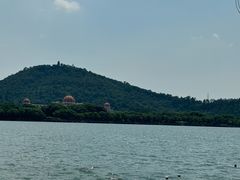 -顺峰山公园