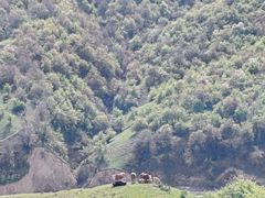 -中华福寿山