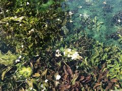 -海韵人家.海景花园经典云南菜(双廊店)