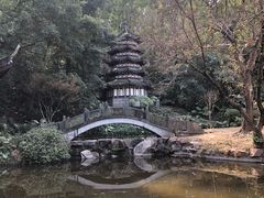 -深圳国际园林花卉博览园