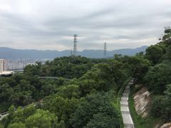 -金鸡山公园