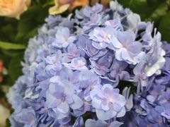 -万科翡翠滨江2期