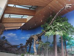 -延庆地质公园博物馆