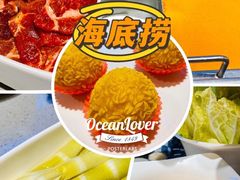 -海底捞火锅(泉城路店)