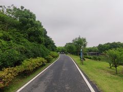 -宜兴龙背山森林公园