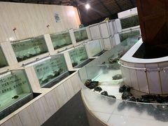 -海盗餐厅