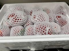 -沈阳市八家子水果批发市场
