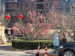-OCT华侨城·北京