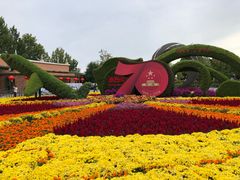 -大兴滨河森林公园