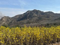-沂蒙山旅游区云蒙景区(蒙山国家森林公园)