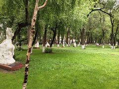 -黑龙江中医药大学