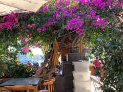 -海韵人家.海景花园经典云南菜(双廊店)