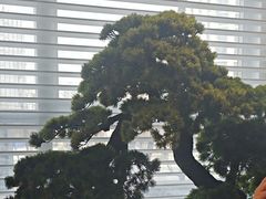 -苏淮景·苏闽融创菜·海鲜(原空港井河轩店)
