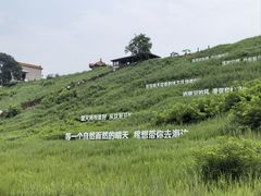 -南戴河国际娱乐中心