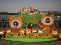 -上海长兴岛郊野公园