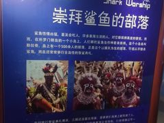 -烟台海昌鲸鲨海洋公园