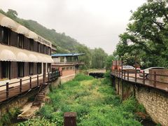 -Local泰莲庭(虹鳟鱼店)