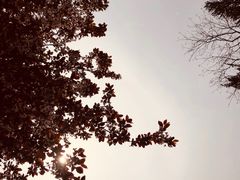 -合肥三国新城遗址公园