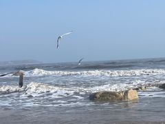 -老虎石海上公园