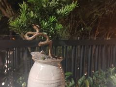 -尖沙咀