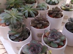 -MUJI无印良品(华贸店)