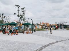 -季高兔窝窝亲子园(上海薰衣草公园店)