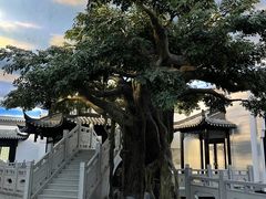 -馋遇江南·精致湖景雅宴(东方之门店)