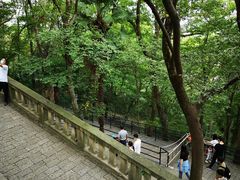 -上海佘山国家森林公园西佘山园