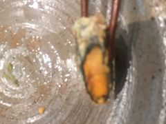 -泉寿司(万科公园店)