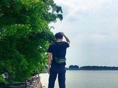 -大湾区中央湿地公园-十九涌