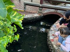 -侯臣咖啡文化村