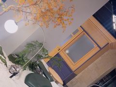 -帕帕拉兹宠物(亚洲旗舰店)