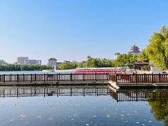 -莲花池公园