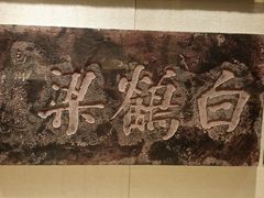 -白鹤梁水下博物馆