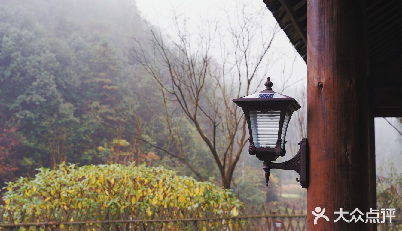 常德 | 隐居在桃花源🍃推开窗便是绿树田园