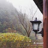常德 | 隐居在桃花源🍃推开窗便是绿树田园