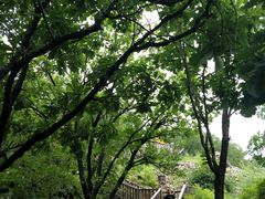 -帽儿山国家森林公园