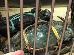 -纽顿熟食中心