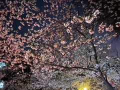 -鸡鸣寺