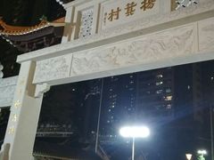 -杨箕村B区